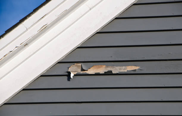 Best Appliance Removal  in Thonotosassa, FL