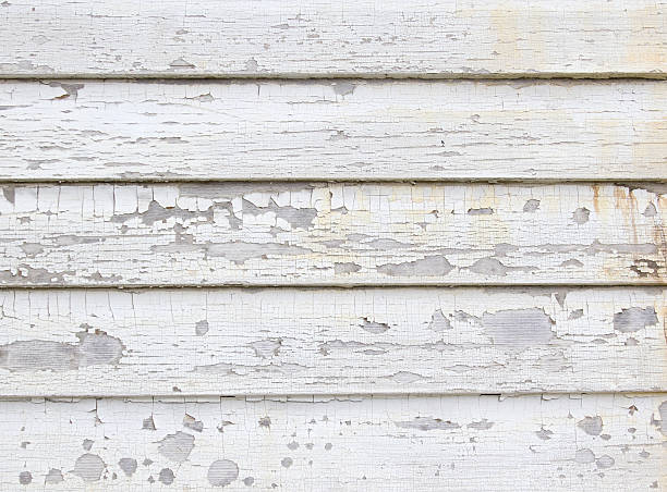 Best Construction Debris Removal  in Thonotosassa, FL